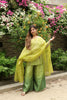 Green Ombre suit Set