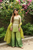 Green Ombre suit Set