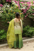 Green Ombre suit Set