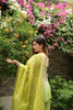 Green Ombre suit Set